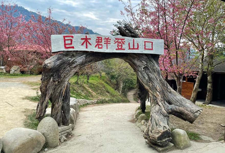 生活旅遊家 2020/11/30